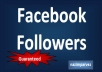 give you 50+50+50 verified Facebook Followers Without password