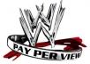 give you 10000++ Real Website Visitors generates from PPV networks within 48 hours