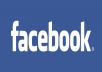provide you 500+ guranteed facebook likes for your fan pages for reasonable price....