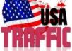 deliver 5000 Real Human Traffic To Your Website/Blog Maximum visitor from USA only