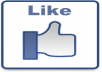 give you 500 Facebook Like on your Page