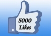 give you 5000 real facebook likes with in 24 hours 