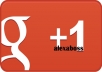 proVide you real human 50+ GOOGLE plus ones/g+1 for your website, fanpage or any url