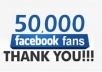 to add 30,OOO Facebook LIkes only in 100$. Very Very Cheap rates quick delivery, excellenet service, check my extra service it's best for your page