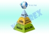 create link pyramid with 10 level 1 edu wiki, 100 level 2 social bookmarks and 3000 backlinks ..