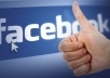 provide REAL 250+ facebook likes