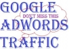 1000 Google Adwords Website Visitors of Actual Value $500