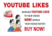 give you guaranteed 400 youtube real likes to your video