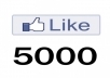 wish to add 5,000 ++ Facebook only in 14$. quick and safe delivery