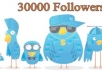 Add 30000+ Twitter Followers To Your Followers, No Password Required
