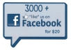 give you 3000 FACEBOOK likes fans 