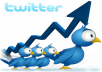 Get you 35,000+ FOLLOWERS into your TWITTER Account in Less than 24 hours,Without Any Admin Access