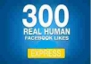 give you 100% real human 300++ facebook likes only