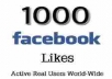 provide 1000++ real human Facebook likes on your Fan Page only