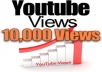 give you 10000 Real Human Youtube Views with 100 likes, 30 subcribers, 10 comments