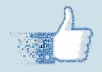 Add guaranteed 255+ facebook likes