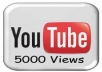 add 5000 youtube views, 50 likes, 50 favorite no admin