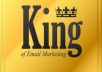 Provide My KILLER Success ★★92 MILLION★★E Mail Collection for your Marketing campaign ONLY
