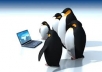 build 30 penguin friendly contextual backlinks using High PR9 to PR3 web properties like Wordpress, Squidoo^, Wetpaint and others