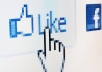 Provide you active 555 Facebook fan page Likes without using Bot/Robotic Softwer