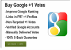 Provide you 100% real 140 GoOgLe +1 vote within a short time