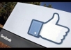 get you guaranteed 255+ REAL facebook likes