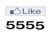 5555 ++ Facebook Likes only in 15$, quick and safe service for you, must check extra service