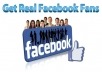 give you 100 facebook likes to your fanpage within 24 hours