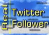 add 300 Real and Active Twitter Followers in 24 Hours, no password needed