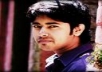 rafiqpahel