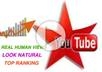 give you 100000 youtube views