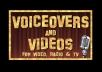 perform a voiceover for a promotional video or commercial!!