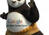 teach you how to build sniper websites that are Google panda apdated and will make you lots of cash!!