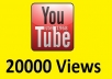 give you 20000 youtube views, 30+ likes, 50+subscribers ....