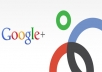 give you 500 google plus vote in 5 urls in 24 hours