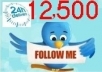 ****get you 12500+ TopQuality Real looking TWITTER followers follow in less then 12 hours with out the need of your pass word  just only 