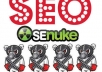 nuke your website with V3 diagram, full monty, advance 3 way or safe3wayattack, buy 2 get 1 free ........