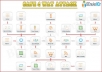 use SEnuke XCr to create &acirc;&oelig;&deg; High Quality &acirc;&oelig;&deg; Multi Tier &acirc;&oelig;&deg; Google Friendly &acirc;&oelig;&deg; Backlinks on High Page Rank Authority sites..