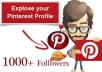 Provide You 1000++ Good Looking USA Pinterest Followers With 100 Repins Without Your Admin Access in 24 Hours: Offrer Limited For 20 Days