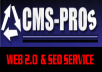optimize and promote your WordPress blog website