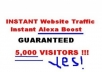 Provide You 3000 To 8000 Visitors Every Day Forever Get Unique Traffic To Your Site