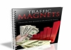 Give You The Most Powerful Strategies For Generating Unstoppable Traffic To Your Website 