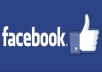 give you 4000+ real facebook likes or subscribers with in 72 hours