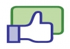 Give You 300 Real Facebook Likes Fan Page