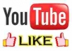 provide 100% real 500 youtube video likes only