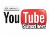 provide 1000 youtube subscriber only