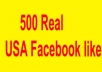 give you 500 + Real facebook fans to your page within 24 hours!!!!!!