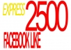 add 2500+ Real facebook likes/facebook fans mostly USA users in your fanpage, no admin access in just 16 hours!@!