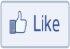 provide you 1000+ Facebook Likes to your Fan page 
