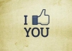 give you 50  verified Facebook likes to your page/ website/URL/domain/webpage